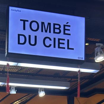 Tombé du ciel